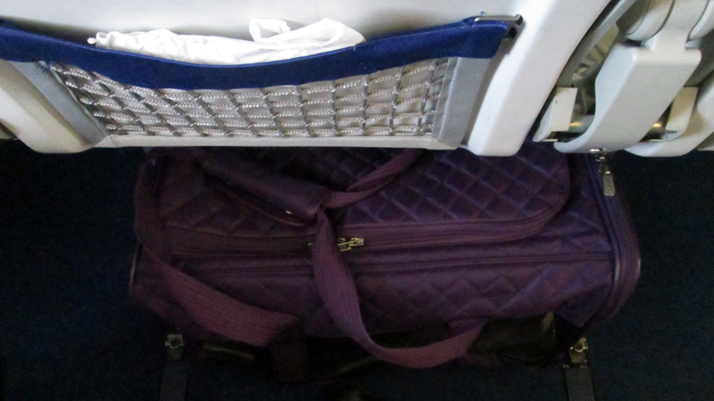 Illustration for article titled How to Fly Overseas With a Jerk Cat